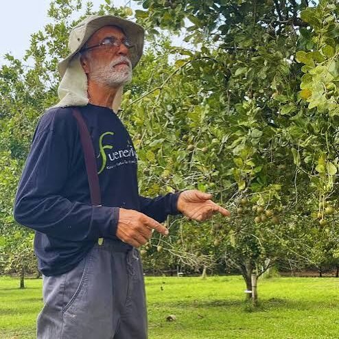 Agricultor biodinámico en el huerto de macadamia en Granja La Canela, Quindío